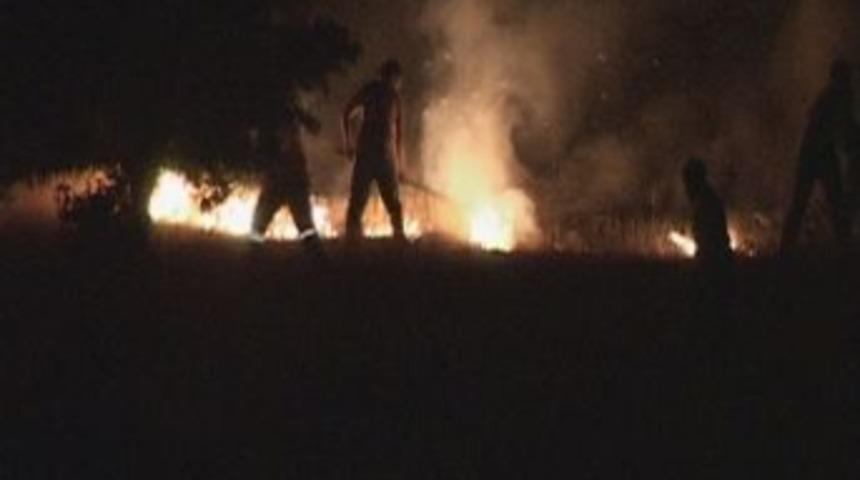 Elazığ'da Orman Yangını
