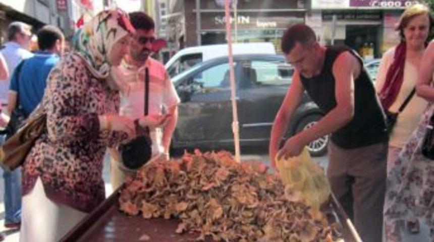 Ordu&rsquo;da Mantarlar Yok Satıyor