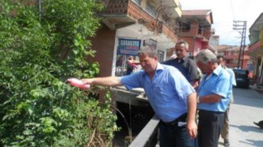 Mollabey Karabulak Deresine G&uuml;lsuyu d&ouml;kt&uuml;ler