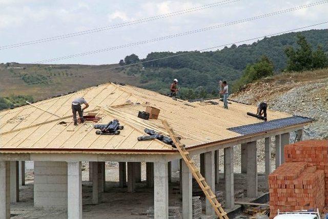 Sokak Hayvanlarına Bakım Ve Doğal Yaşam Merkezi 1