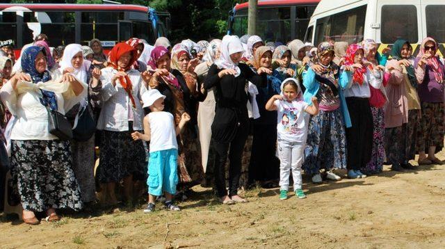 Fındık Üreticisi Yağmur Duasına Çıktı 1