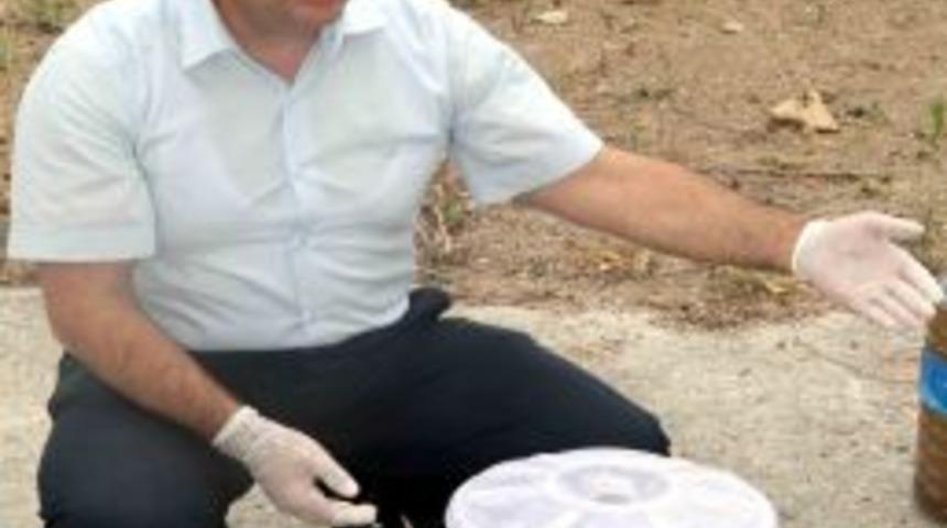 Sudaki Bir Larva 32 Milyar Sivrisinek Oluyor