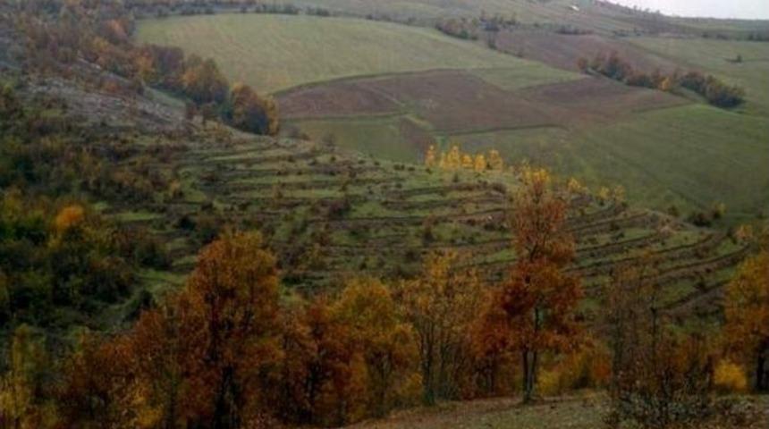 Samsun&rsquo;un Y&uuml;zde 38&rsquo;i Ormanlık Alan