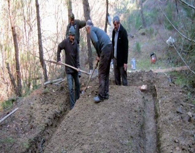 Samsun’un Yüzde 38’i Ormanlık Alan