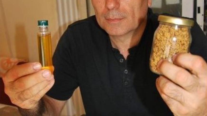 Bu Proje İncir &Ccedil;ekirdeğini Doldurur