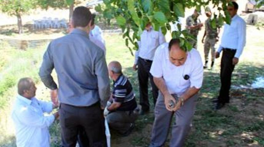 Avcılar Bu Kez Keklikleri Avlamak Yerine Doğaya Salıverdi