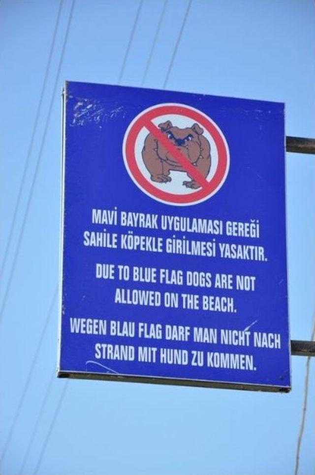 Karabiga Belediyesine Mavi Bayrak 2