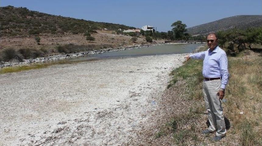 Başbakan Erdoğan'ın Tatil Beldesi