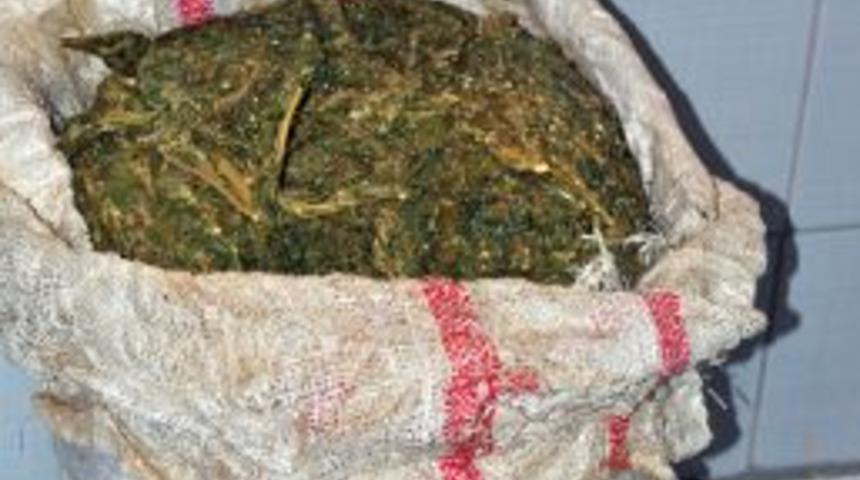 Yolcu Otob&uuml;s&uuml;nde 19 Kilogram Esrar Ele Ge&ccedil;irildi