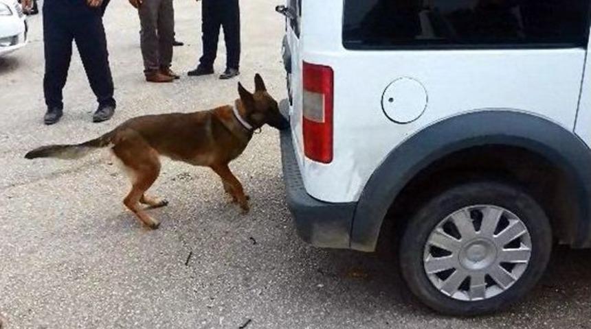 Adana'da Uyuşturucu Operasyonları