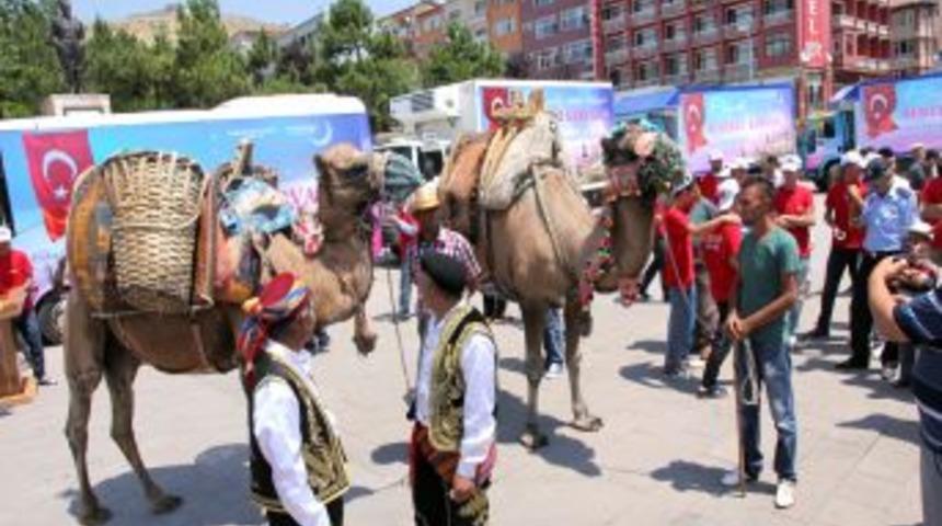Bozok Bereket Kervanı Develerle Yola &Ccedil;ıktı