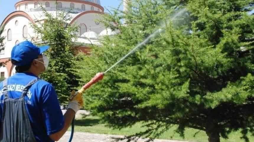 Melikgazi&rsquo;de Haşarat İle M&uuml;cadele S&uuml;r&uuml;yor