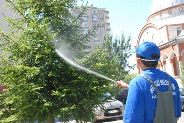 Melikgazi’de Haşarat İle Mücadele Sürüyor