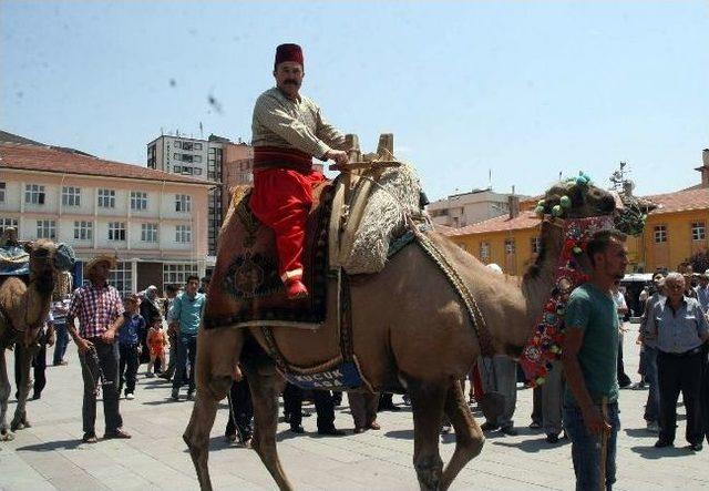 “bozok Bereket Kervanı” Develerle Yola Çıktı