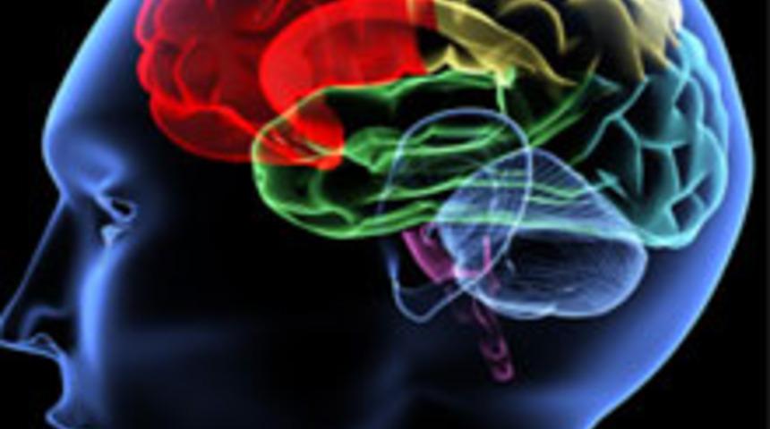 N&ouml;roloji Testi ile Dikkatini &Ouml;l&ccedil;!