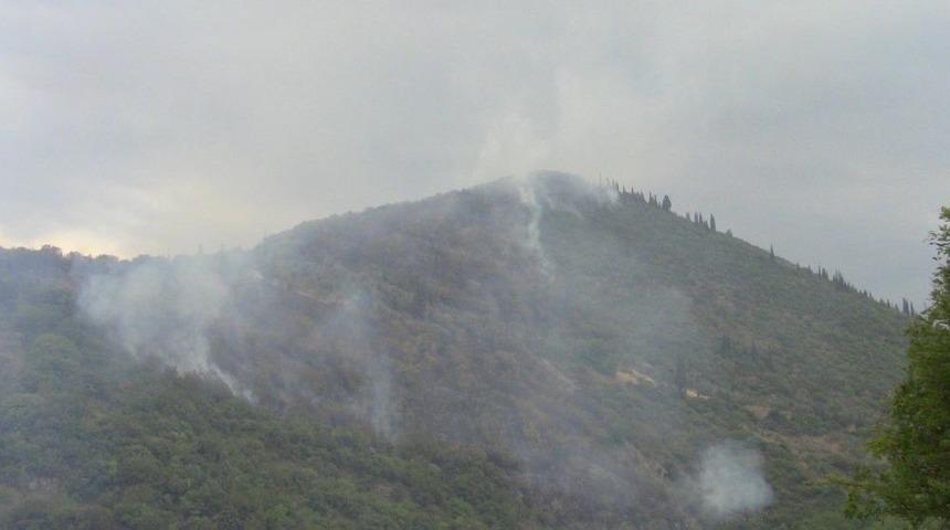 Karam&uuml;rsel&rsquo;de Orman Ve Zeytinlik Yangını