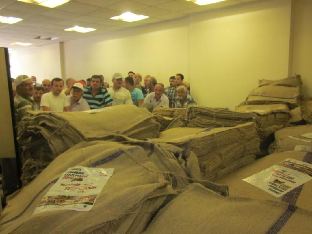 &Uuml;nye&rsquo;de Fındık &Uuml;reticilerine 25 Bin &Ccedil;uval Dağıtıldı