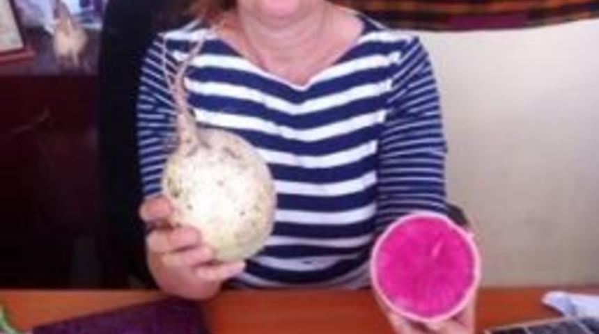 Kadirli&rsquo;de Artık &Ccedil;in Turpu Da Yetişecek