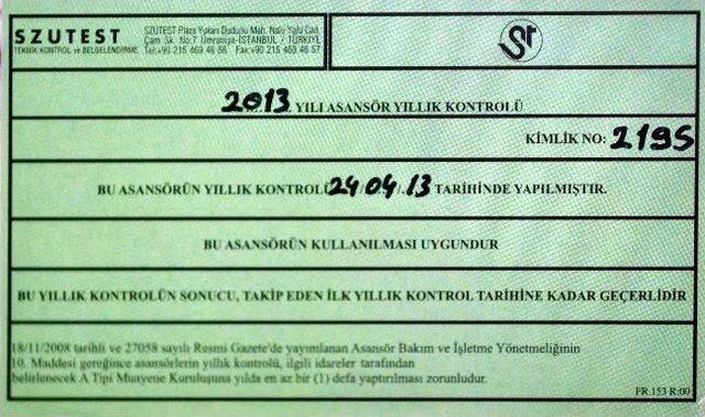 Yedaş Yeşillendi 1