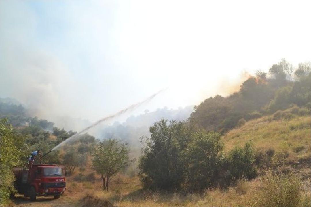 Turgutlu&rsquo;da 20 D&ouml;n&uuml;ml&uuml;k Orman K&uuml;l Oldu