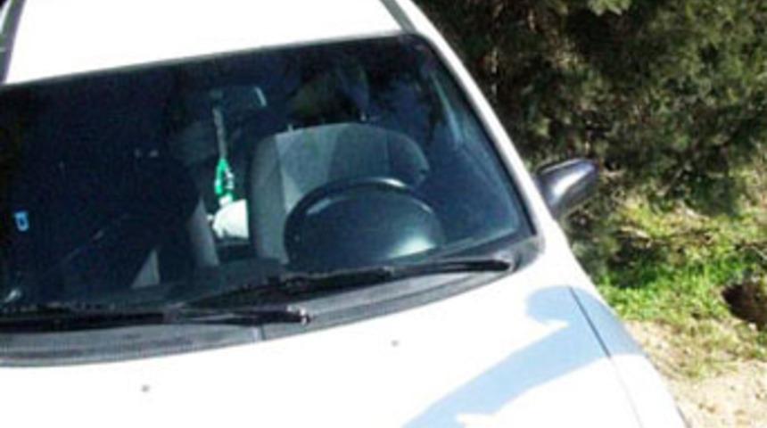 Otomobil domuz s&uuml;r&uuml;s&uuml;ne daldı