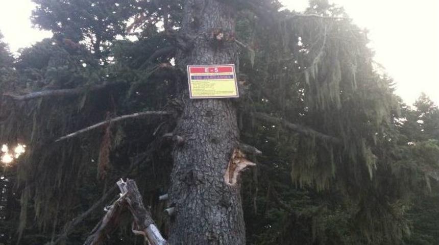 Uludağ'da Kaybolmak Zorlaşıyor