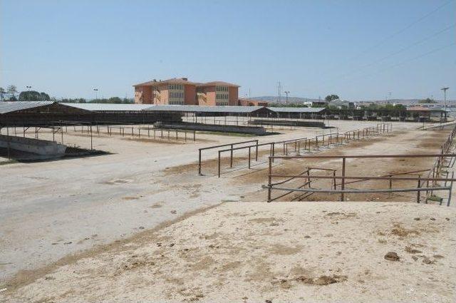 İneg&ouml;l Hayvan Pazarına 13 Bin Metrekare İlave 1