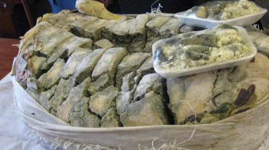 Küflü peynirde ''aflatoksin'' bulundu