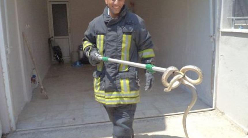 İtfaiyeden Yılan Operasyonu
