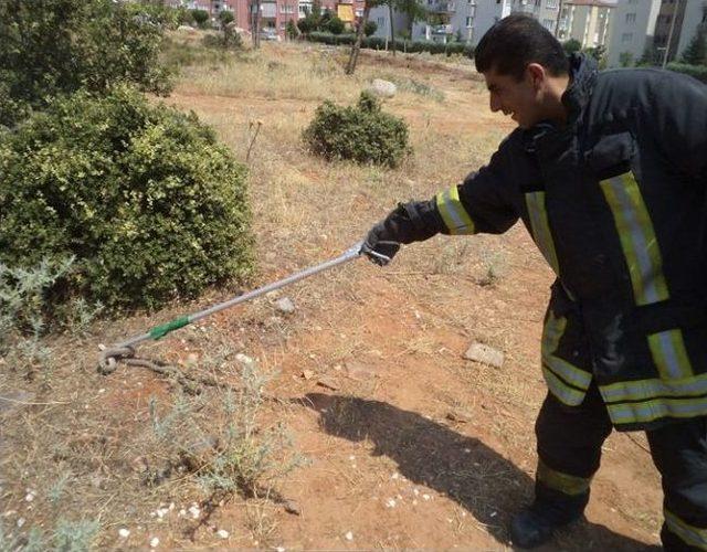 İtfaiyeden Yılan Operasyonu 1