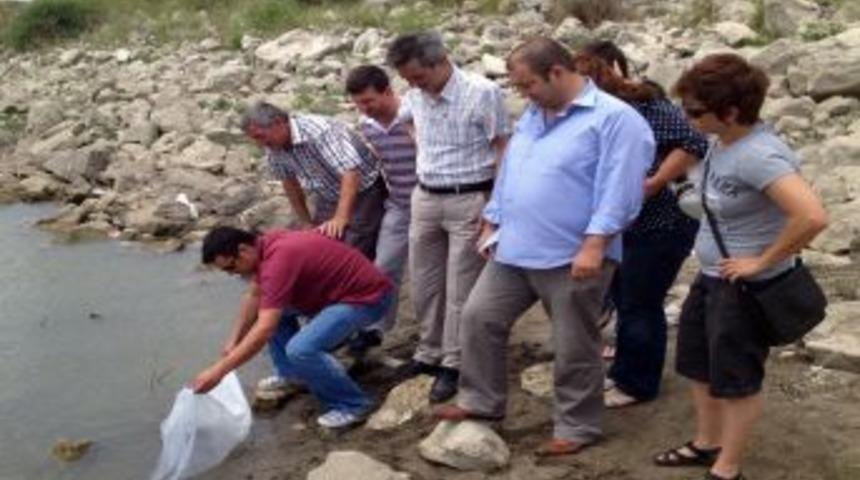 İstanbul&rsquo;daki G&ouml;l Ve G&ouml;letlere Sazan Takviyesi