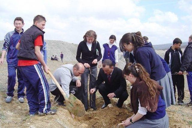 Bor Maden Sahaları Doğaya Yeniden Kazandırılıyor 2