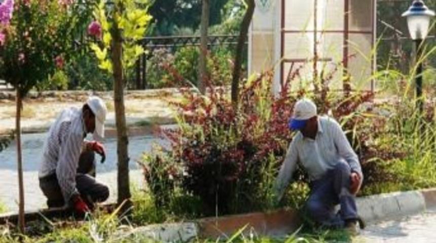 Sarıg&ouml;l Belediyesi, Yabancı Otlarla M&uuml;cadele Başlattı