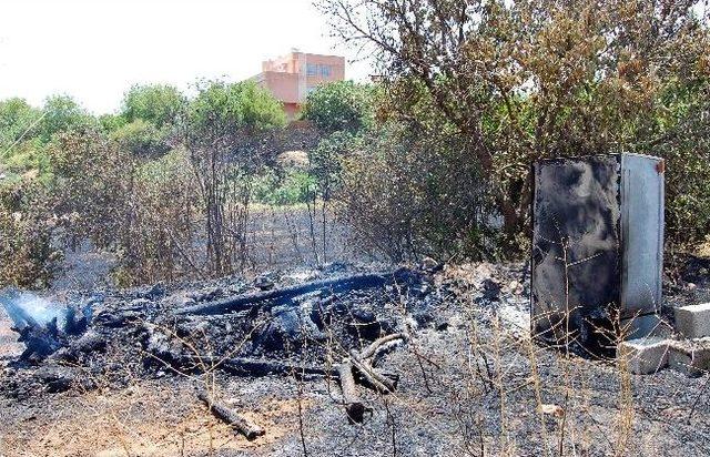 Anız Yangını Ağaç Ve Odunları Yaktı 1