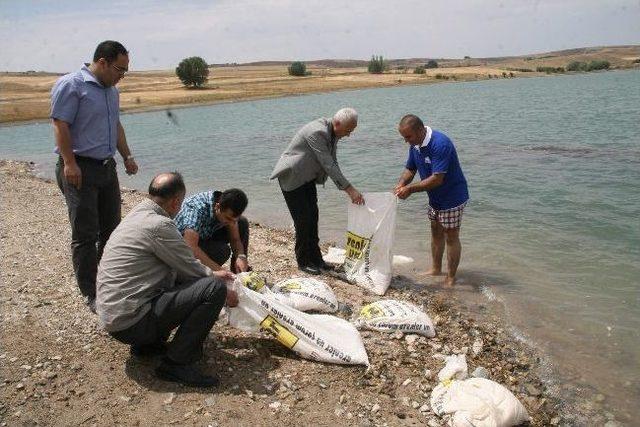 Göletten Çuvallar İçinde Hamur Çıktı