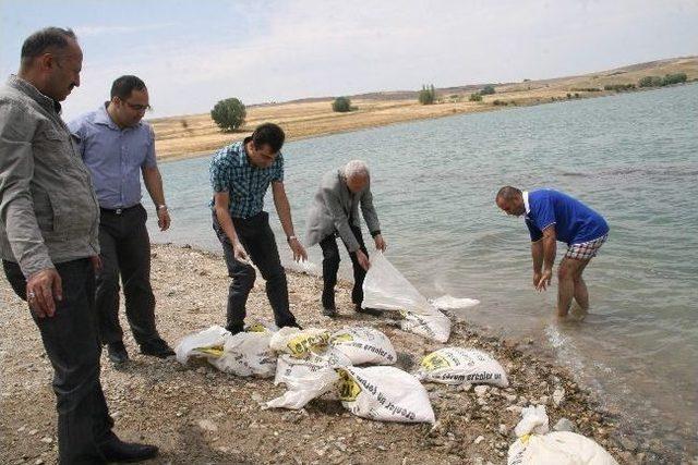 Göletten Çuvallar İçinde Hamur Çıktı