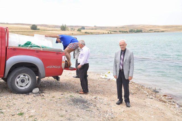 Yozgat’ta 8 Gölete 50 Bin Yavru Balık Bırakıldı