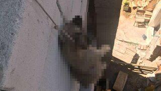 Denizli'nin Tavas ilçesinde korkunç olay! Yavru köpeği asarak öldürdüler