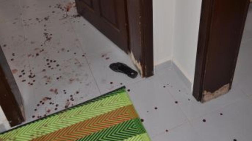 Sınırdan Gelen Iki Kişi, Para Istedikleri Ev Sahibini Tabanca Ile Yaraladı