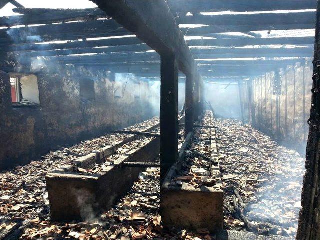 Akdağmadenin de &Ccedil;ıkan Yangında Bir Ahır Yandı 2