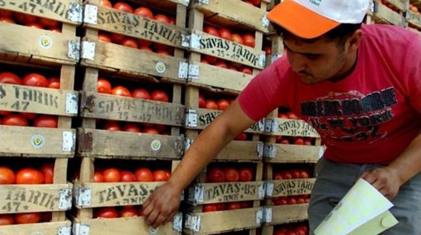 Domates &Uuml;reticilerine Sertifika Ve Logoları Dağıtıldı