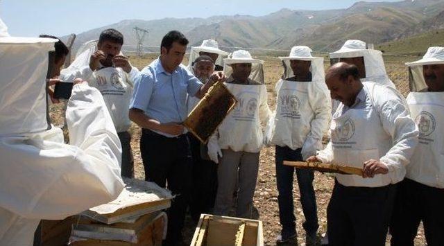 Arıcılık Demonstrasyon Merkezi Kuruldu 2