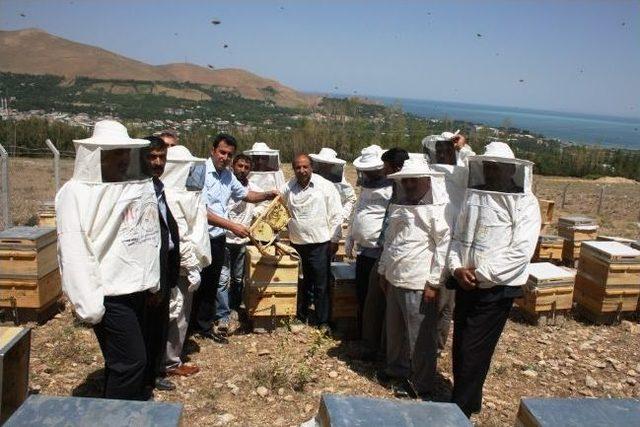 Arıcılık Demonstrasyon Merkezi Kuruldu 3
