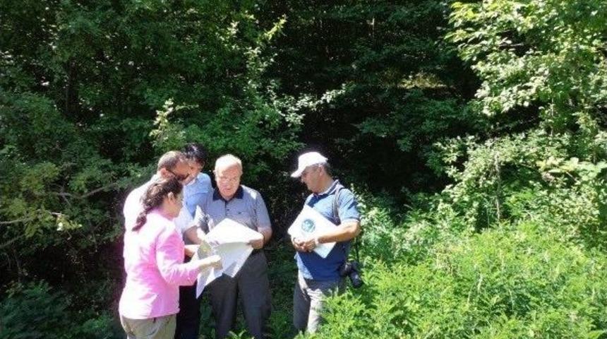 Genel Sekreter Kayış, Fiziki İncelemelerde Bulundu
