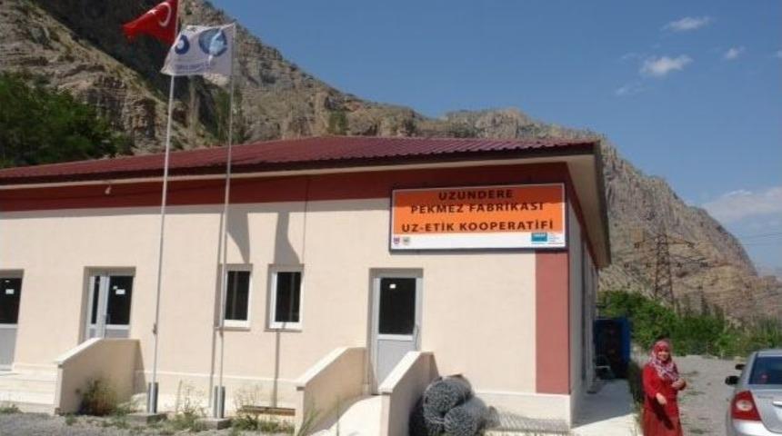 Uzundere İlçesinde Pekmez Fabrikası Kuruldu