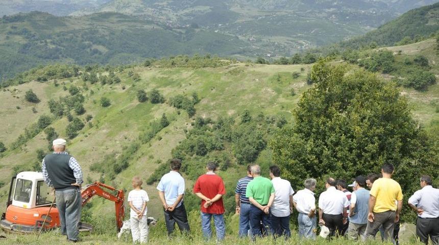 Bal Ormanında Inceleme Yapıldı