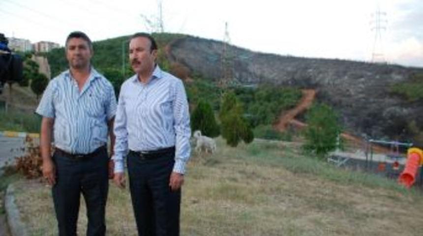Başkan Doğan: "yanan Alan Yeniden Orman Olacak"