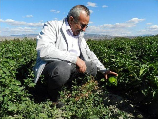 Başkan Kılıç Çalışmalarını Değerlendirdi 1