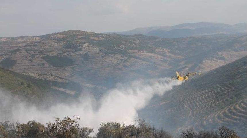 Balıkesir'de Orman Yangını Kontrol Altına Alındı