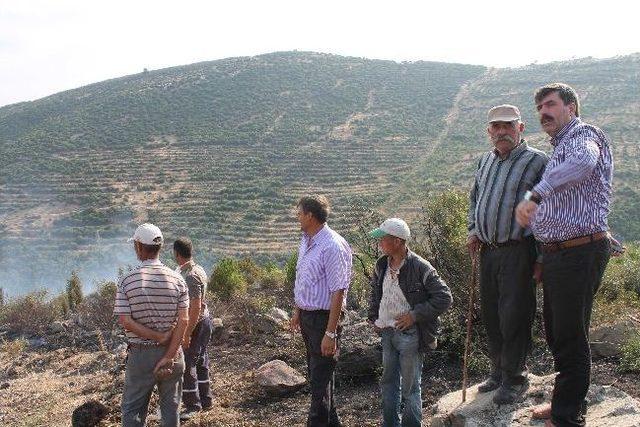 Balıkesir'de Orman Yangını Kontrol Altına Alındı